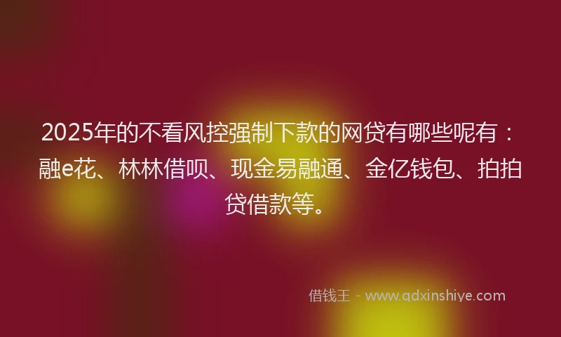 2025年的不看风控强制下款的网贷有哪些呢有：融e花、林林借呗、现金易融通、金亿钱包、拍拍贷借款等。