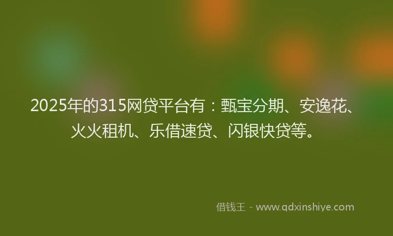 2025年的315网贷平台有：甄宝分期、安逸花、火火租机、乐借速贷、闪银快贷等。