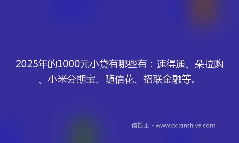2025年的1000元小贷有哪些有：速得通、朵拉购、小米分期宝、随信花、招联金融等。