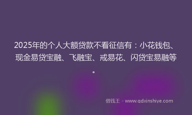 2025年的个人大额贷款不看征信有：小花钱包、现金易贷宝融、飞融宝、戒易花、闪贷宝易融等。