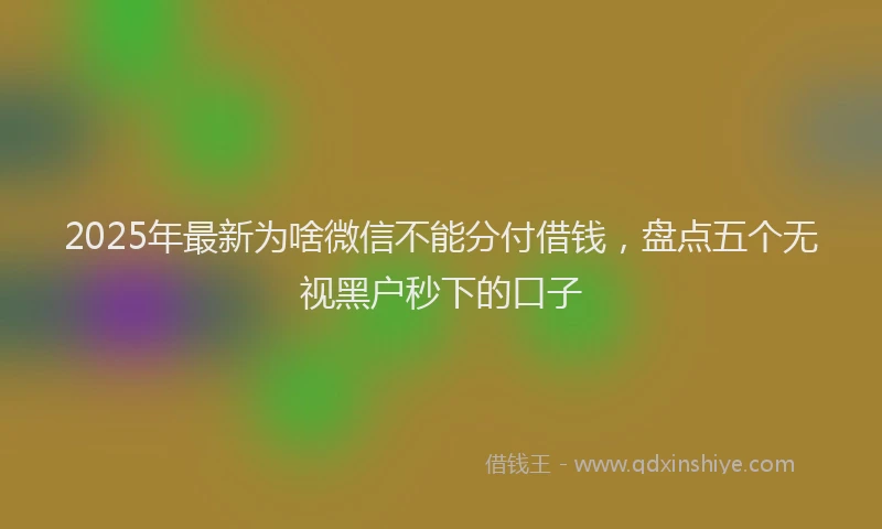 2025年最新为啥微信不能分付借钱，盘点五个无视黑户秒下的口子