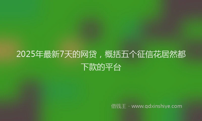 2025年最新7天的网贷，概括五个征信花居然都下款的平台