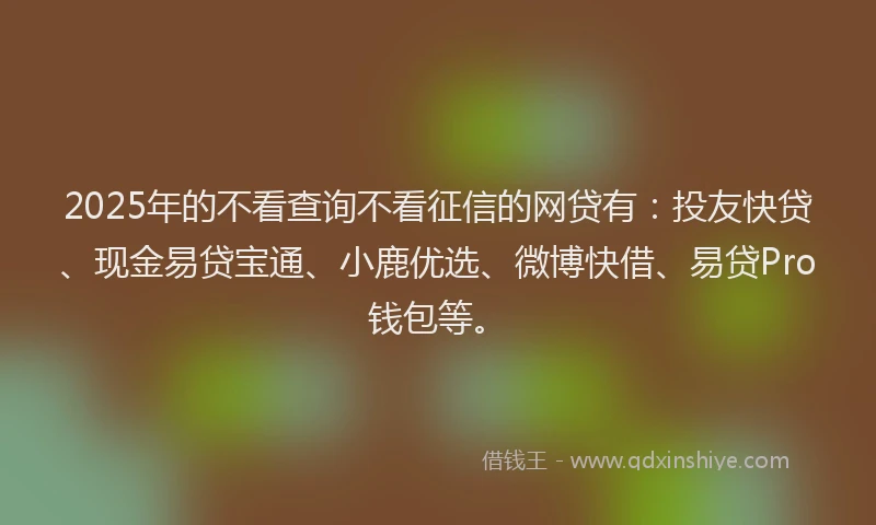 2025年的不看查询不看征信的网贷有：投友快贷、现金易贷宝通、小鹿优选、微博快借、易贷Pro钱包等。