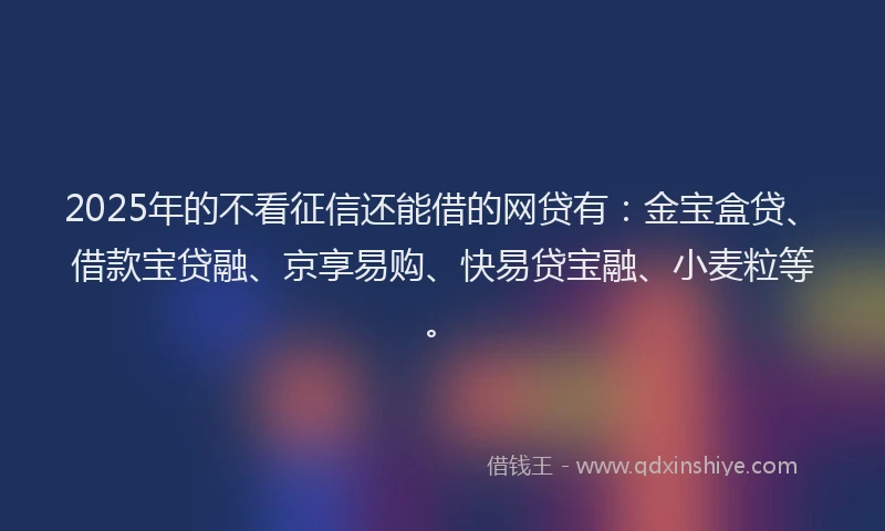 2025年的不看征信还能借的网贷有：金宝盒贷、借款宝贷融、京享易购、快易贷宝融、小麦粒等。