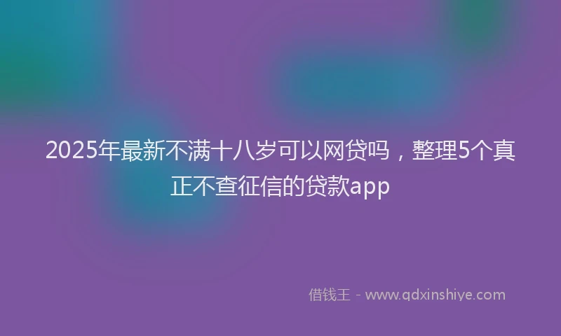 2025年最新不满十八岁可以网贷吗，整理5个真正不查征信的贷款app