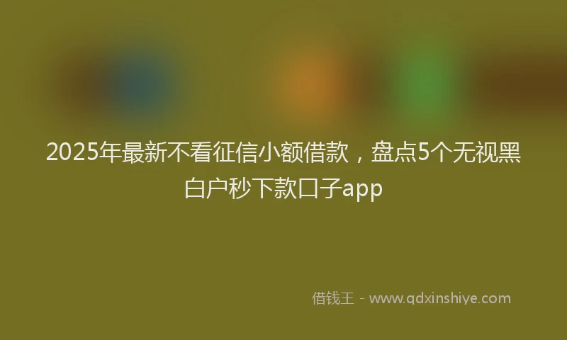 2025年最新不看征信小额借款，盘点5个无视黑白户秒下款口子app