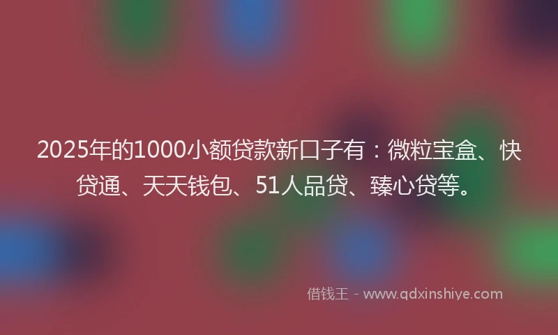 2025年的1000小额贷款新口子有：微粒宝盒、快贷通、天天钱包、51人品贷、臻心贷等。