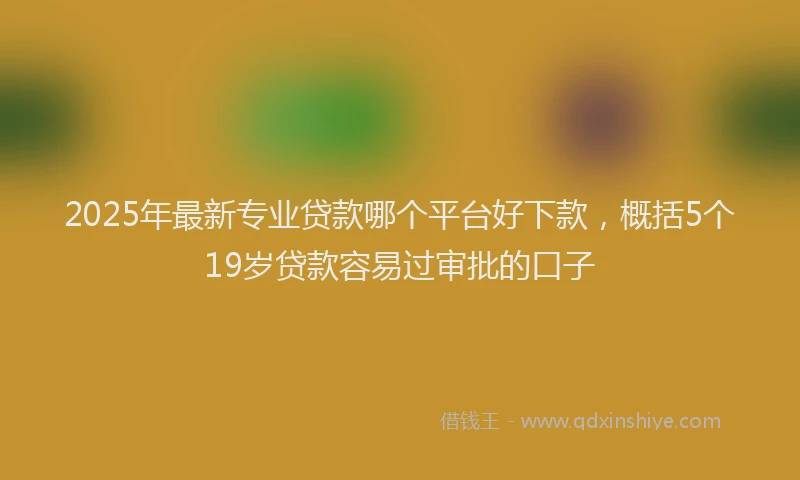 2025年最新专业贷款哪个平台好下款，概括5个19岁贷款容易过审批的口子