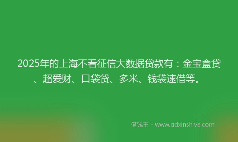 2025年的上海不看征信大数据贷款有：金宝盒贷、超爱财、口袋贷、多米、钱袋速借等。