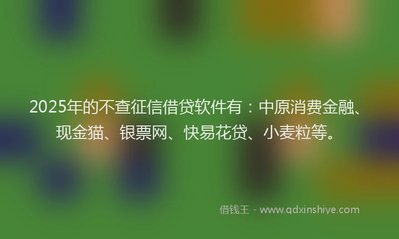 2025年的不查征信借贷软件有：中原消费金融、现金猫、银票网、快易花贷、小麦粒等。
