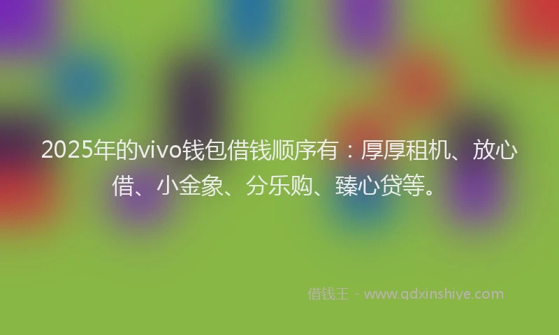 2025年的vivo钱包借钱顺序有：厚厚租机、放心借、小金象、分乐购、臻心贷等。