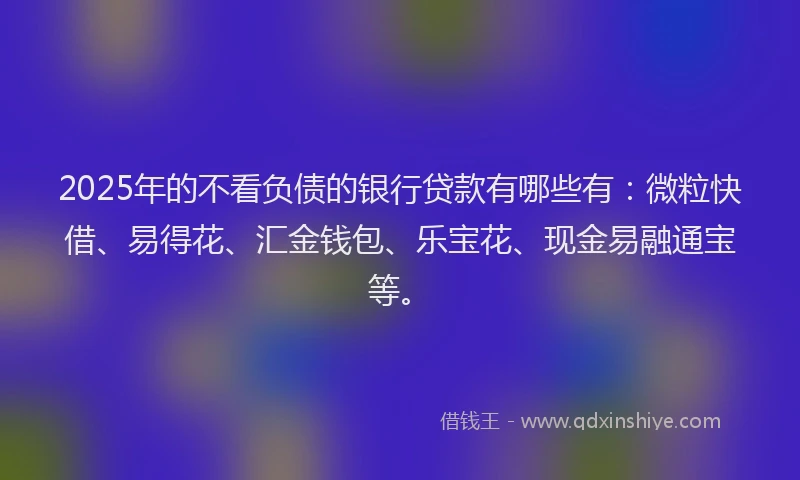 2025年的不看负债的银行贷款有哪些有：微粒快借、易得花、汇金钱包、乐宝花、现金易融通宝等。