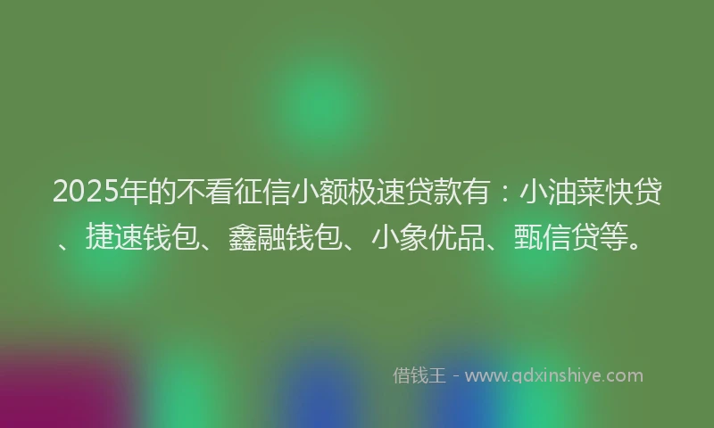 2025年的不看征信小额极速贷款有：小油菜快贷、捷速钱包、鑫融钱包、小象优品、甄信贷等。