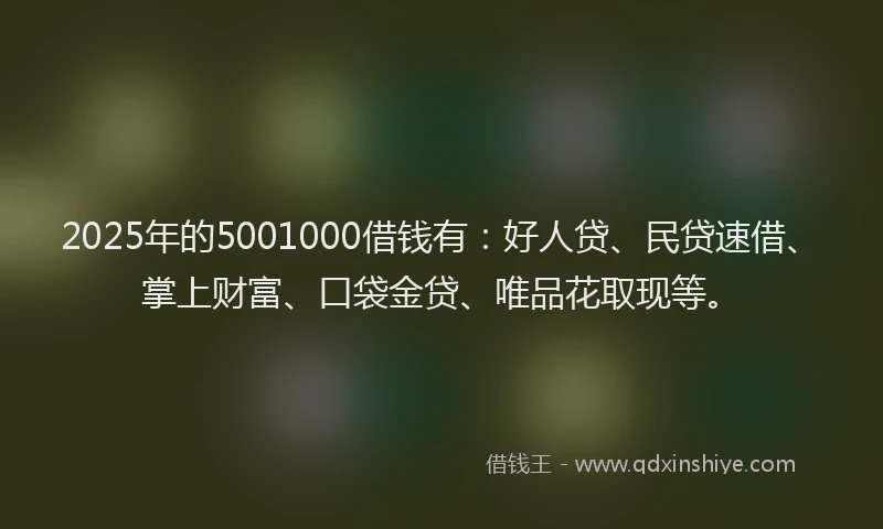 2025年的5001000借钱有：好人贷、民贷速借、掌上财富、口袋金贷、唯品花取现等。