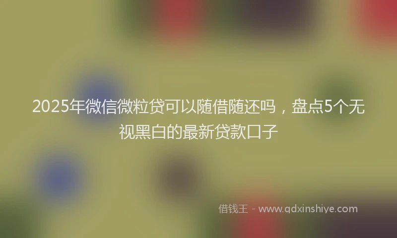 2025年微信微粒贷可以随借随还吗，盘点5个无视黑白的最新贷款口子