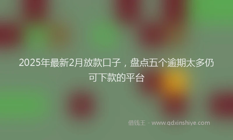 2025年最新2月放款口子，盘点五个逾期太多仍可下款的平台
