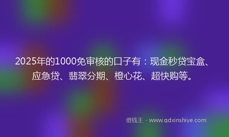 2025年的1000免审核的口子有：现金秒贷宝盒、应急贷、翡翠分期、橙心花、超快购等。