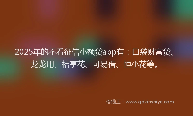 2025年的不看征信小额贷app有：口袋财富贷、龙龙用、桔享花、可易借、恒小花等。