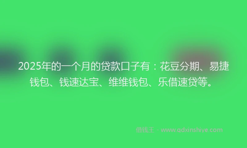 2025年的一个月的贷款口子有：花豆分期、易捷钱包、钱速达宝、维维钱包、乐借速贷等。