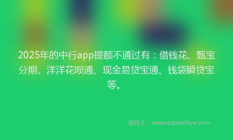 2025年的中行app提额不通过有：借钱花、甄宝分期、洋洋花呗通、现金易贷宝通、钱袋瞬贷宝等。