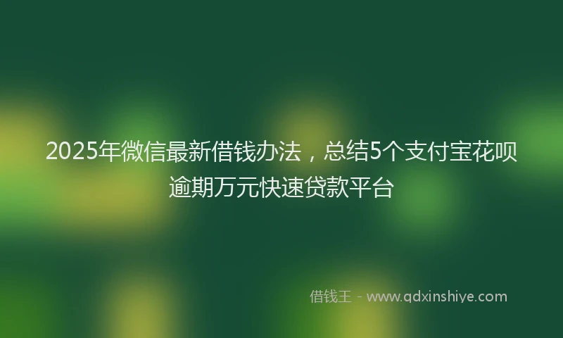 2025年微信最新借钱办法，总结5个支付宝花呗逾期万元快速贷款平台