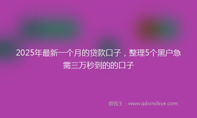 2025年最新一个月的贷款口子，整理5个黑户急需三万秒到的的口子
