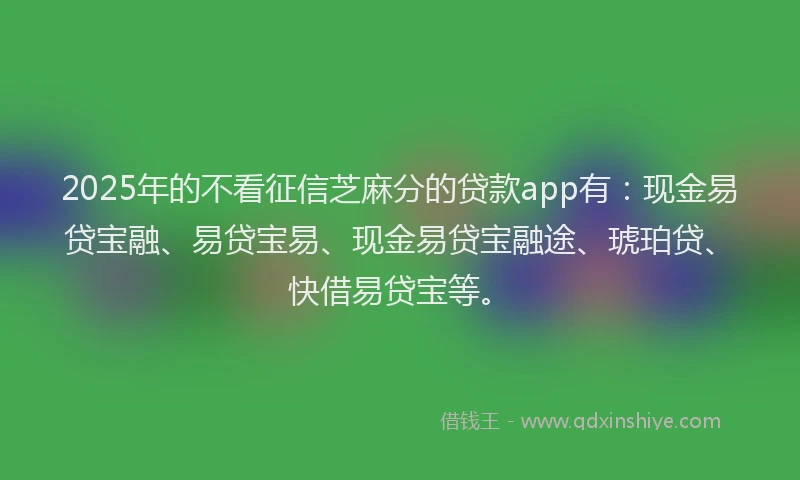 2025年的不看征信芝麻分的贷款app有：现金易贷宝融、易贷宝易、现金易贷宝融途、琥珀贷、快借易贷宝等。