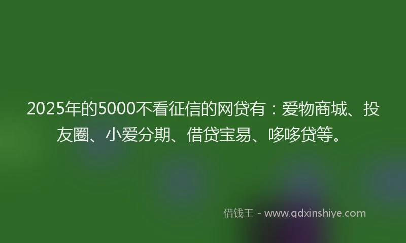 2025年的5000不看征信的网贷有：爱物商城、投友圈、小爱分期、借贷宝易、哆哆贷等。