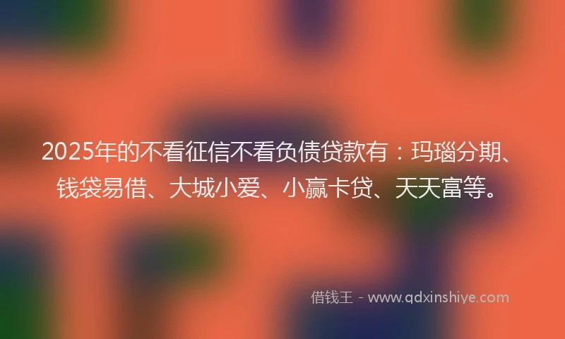 2025年的不看征信不看负债贷款有：玛瑙分期、钱袋易借、大城小爱、小赢卡贷、天天富等。