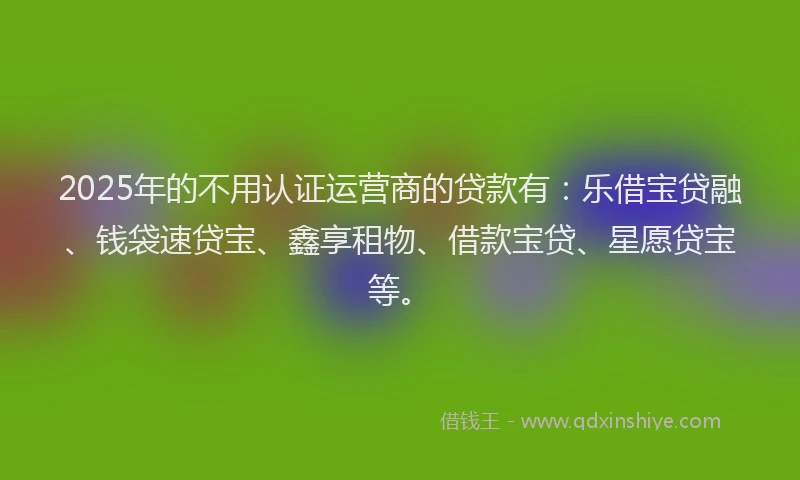 2025年的不用认证运营商的贷款有：乐借宝贷融、钱袋速贷宝、鑫享租物、借款宝贷、星愿贷宝等。
