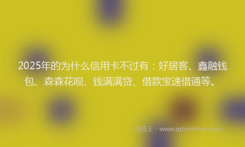 2025年的为什么信用卡不过有：好居客、鑫融钱包、森森花呗、钱满满贷、借款宝速借通等。
