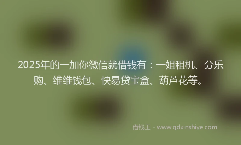 2025年的一加你微信就借钱有：一姐租机、分乐购、维维钱包、快易贷宝盒、葫芦花等。
