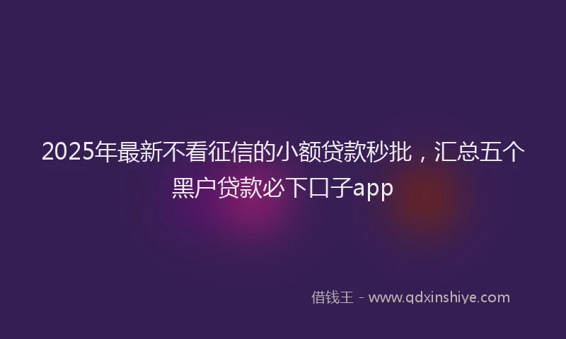 2025年最新不看征信的小额贷款秒批，汇总五个黑户贷款必下口子app