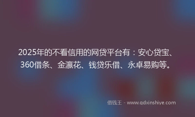 2025年的不看信用的网贷平台有：安心贷宝、360借条、金瀛花、钱贷乐借、永卓易购等。