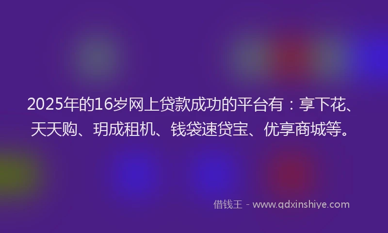 2025年的16岁网上贷款成功的平台有：享下花、天天购、玥成租机、钱袋速贷宝、优享商城等。