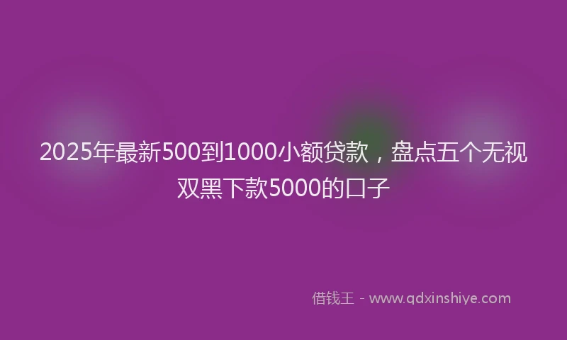 2025年最新500到1000小额贷款，盘点五个无视双黑下款5000的口子