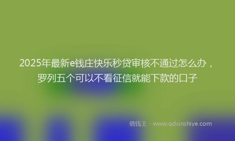 2025年最新e钱庄快乐秒贷审核不通过怎么办，罗列五个可以不看征信就能下款的口子
