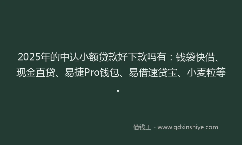 2025年的中达小额贷款好下款吗有：钱袋快借、现金直贷、易捷Pro钱包、易借速贷宝、小麦粒等。