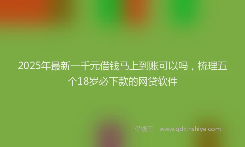 2025年最新一千元借钱马上到账可以吗，梳理五个18岁必下款的网贷软件