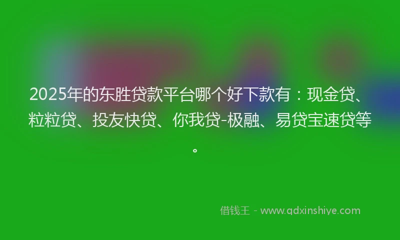 2025年的东胜贷款平台哪个好下款有：现金贷、粒粒贷、投友快贷、你我贷-极融、易贷宝速贷等。
