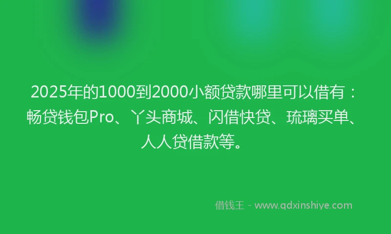 2025年的1000到2000小额贷款哪里可以借有：畅贷钱包Pro、丫头商城、闪借快贷、琉璃买单、人人贷借款等。