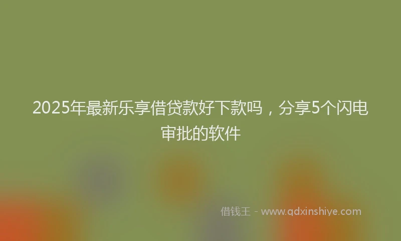 2025年最新乐享借贷款好下款吗，分享5个闪电审批的软件
