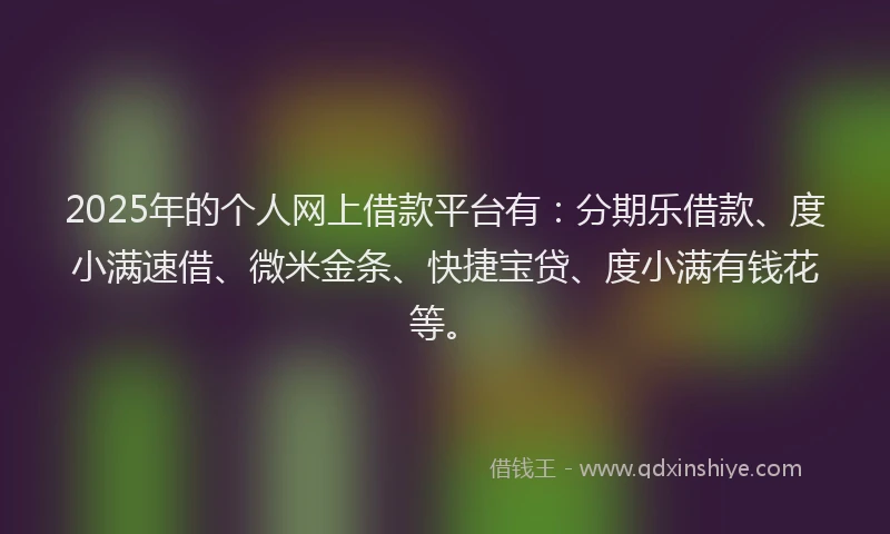 2025年的个人网上借款平台有：分期乐借款、度小满速借、微米金条、快捷宝贷、度小满有钱花等。
