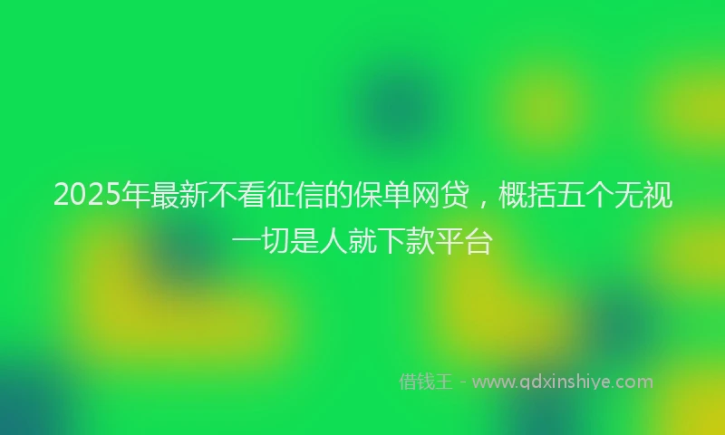 2025年最新不看征信的保单网贷，概括五个无视一切是人就下款平台