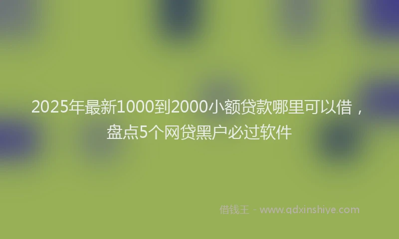 2025年最新1000到2000小额贷款哪里可以借，盘点5个网贷黑户必过软件