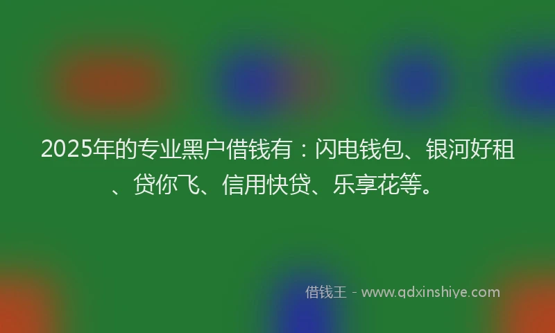 2025年的专业黑户借钱有：闪电钱包、银河好租、贷你飞、信用快贷、乐享花等。