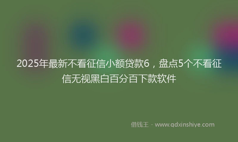 2025年最新不看征信小额贷款6，盘点5个不看征信无视黑白百分百下款软件