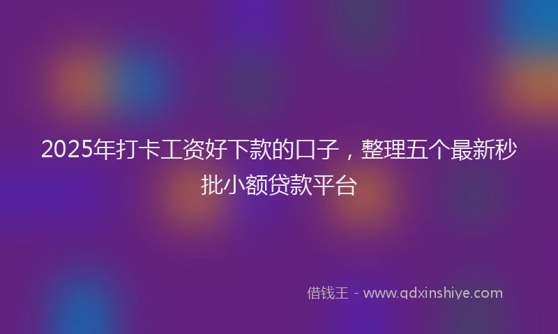 2025年打卡工资好下款的口子，整理五个最新秒批小额贷款平台