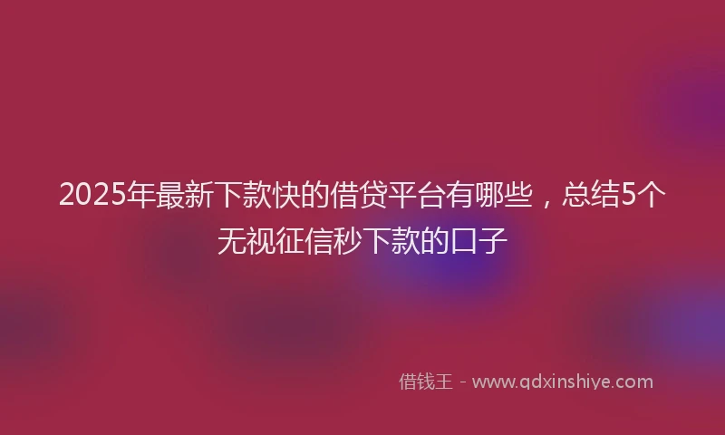 2025年最新下款快的借贷平台有哪些，总结5个无视征信秒下款的口子