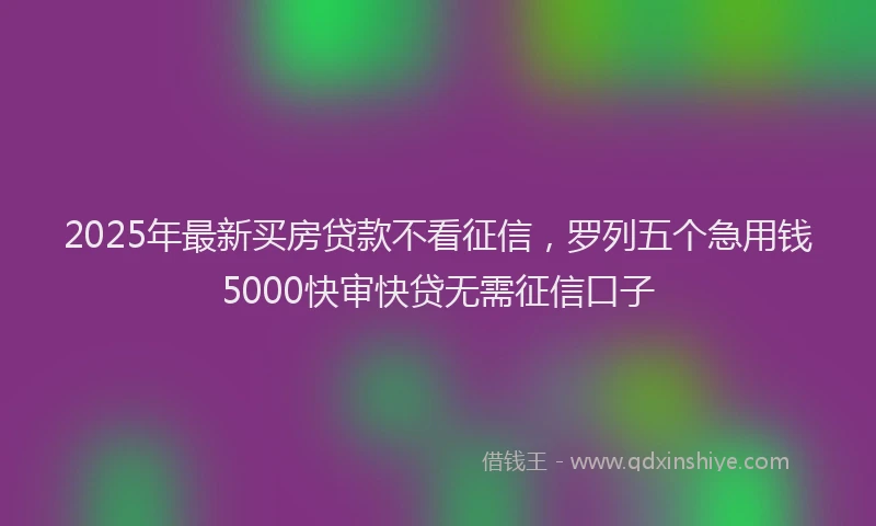 2025年最新买房贷款不看征信，罗列五个急用钱5000快审快贷无需征信口子
